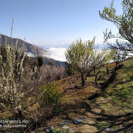 In Apple Estate Kanatal - Himalayan View Resort With Courteous Staff 外观 照片