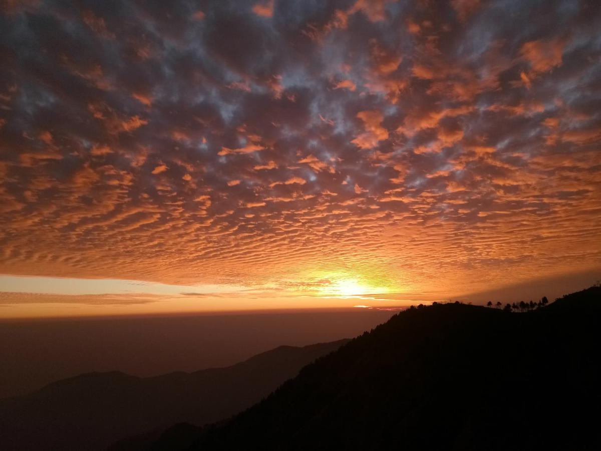 In Apple Estate Kanatal - Himalayan View Resort With Courteous Staff 外观 照片